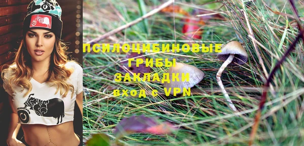 экстази Белокуриха