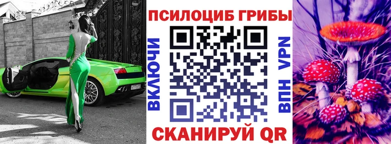 mega сайт  Вязьма  Псилоцибиновые грибы Psilocybe 