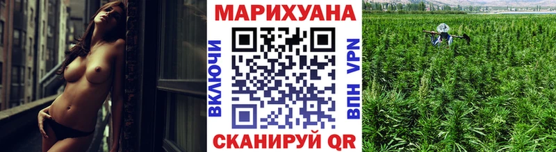 Каннабис план Вязьма